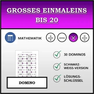 Domino: Großes Einmaleins bis 20
