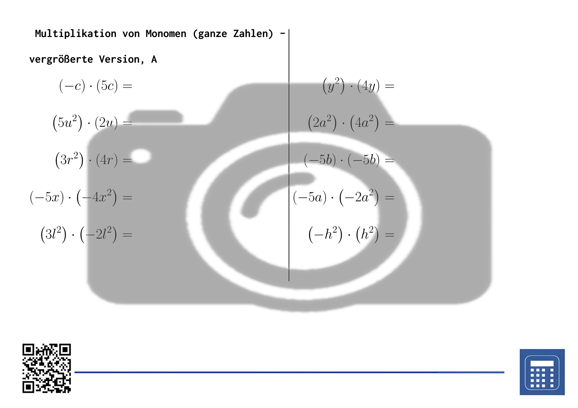 Arbeitsblatt: Multiplikation von Monomen (ganze Zahlen) – Bild 3