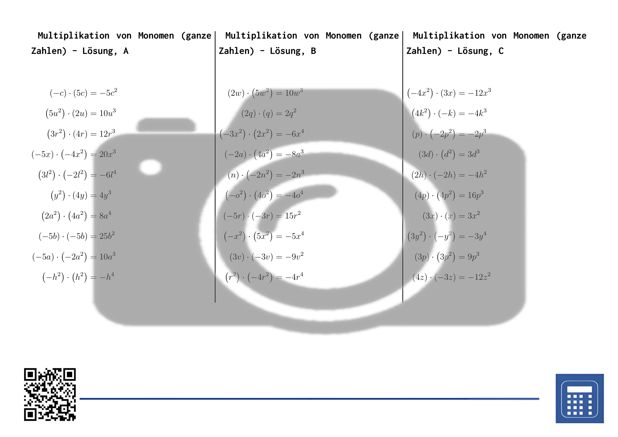 Arbeitsblatt: Multiplikation von Monomen (ganze Zahlen) – Bild 4