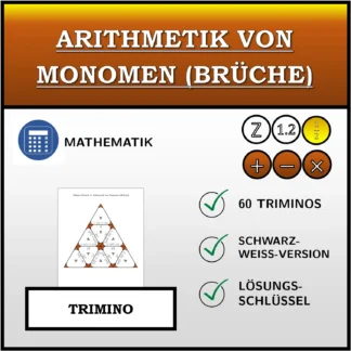 Trimino: Arithmetik von Monomen (Brüche)