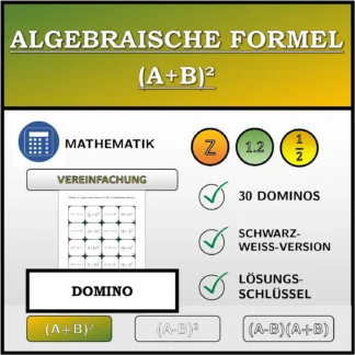 Domino: Algebraische Formel (A+B)², Vereinfachung (Brüche)