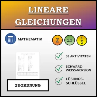 Zuordnungsübung: Lineare Gleichungen
