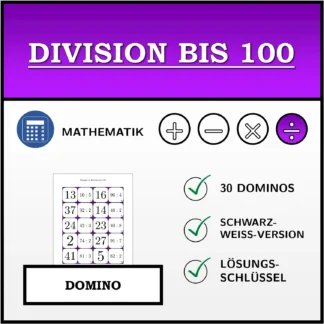 Domino: Division bis 100